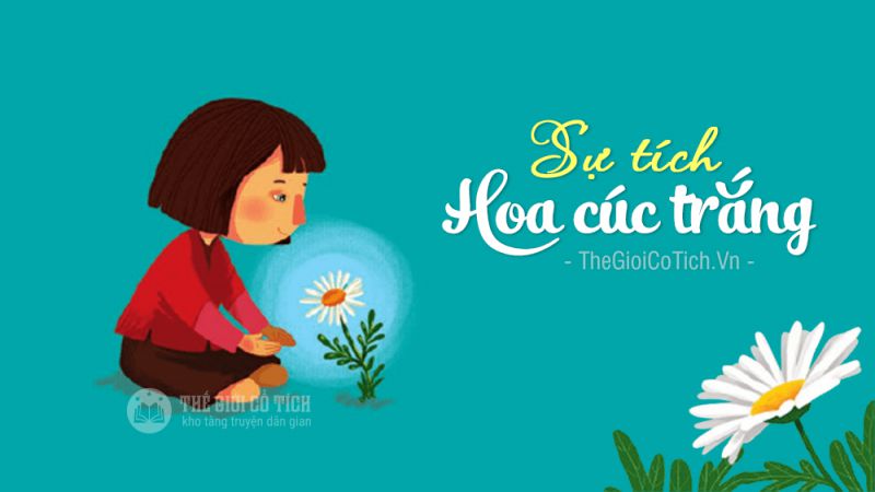 Sự tích bông hoa cúc trắng