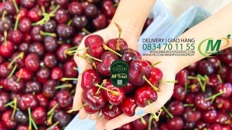 Thương hiệu trái cây nhập khẩu Minh Phương Fruits