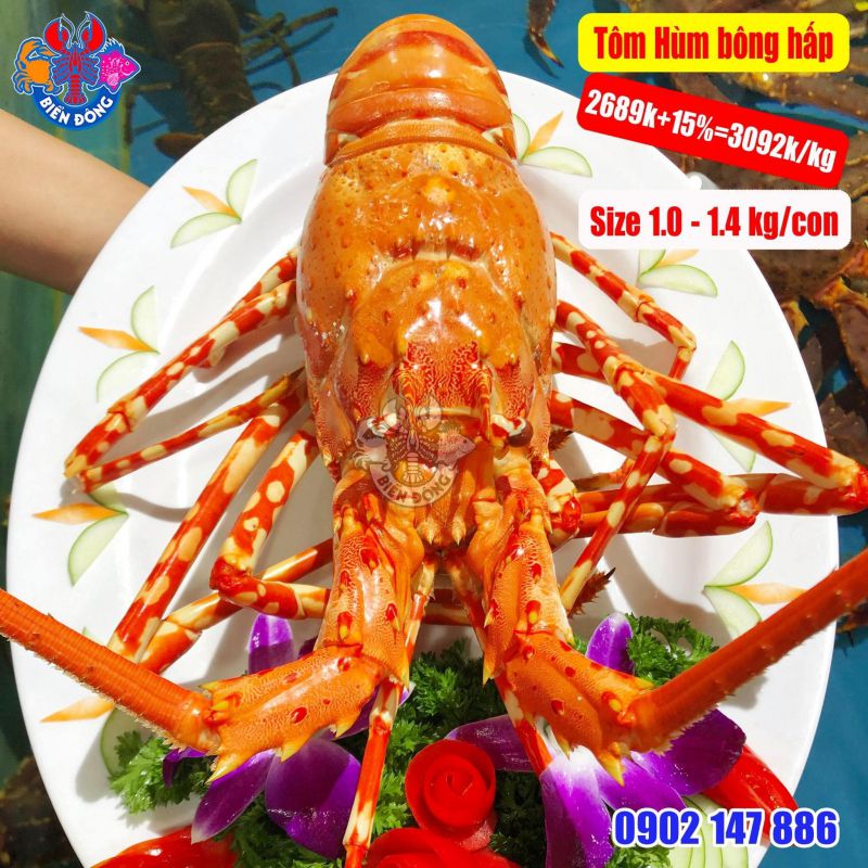 Hải Sản Biển Đông