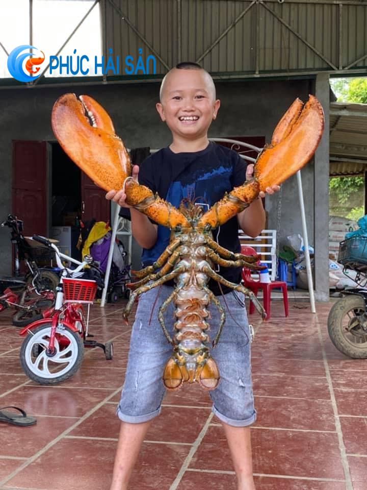 Nhà Hàng Phúc Hải Sản