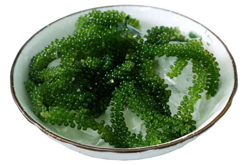 CÔNG TY TNHH RONG BIỂN VIỆT NAM