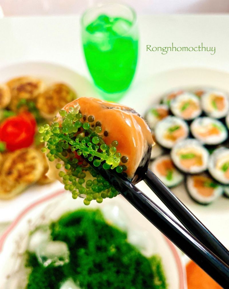 Công Ty TNHH Nuôi Trồng Và Phân Phối Rong Nho Mộc Thuỷ