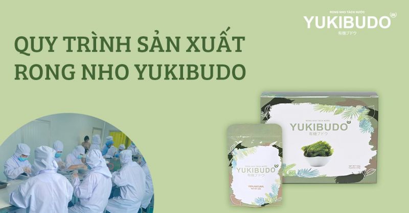 Công ty TNHH LEVUCE