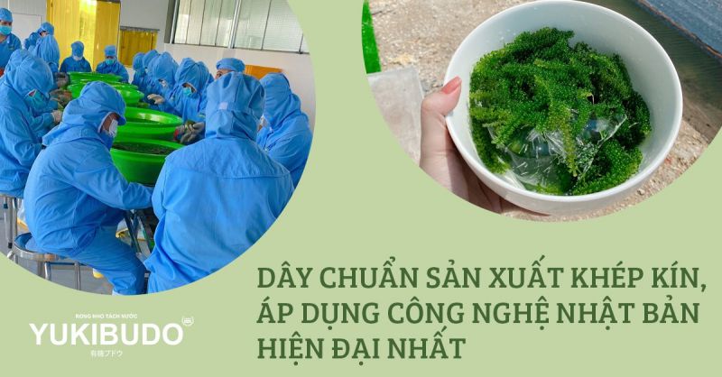 Công ty TNHH LEVUCE