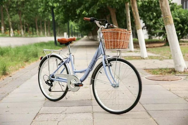 Xe Đạp Xe Điện Hồng Lý