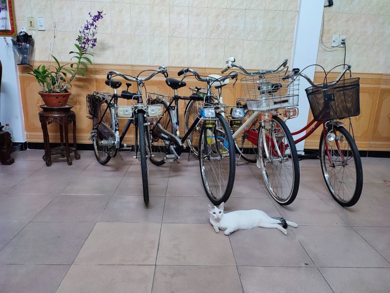 Xe đạp Phố Xưa Xe đạp Phố Xưa