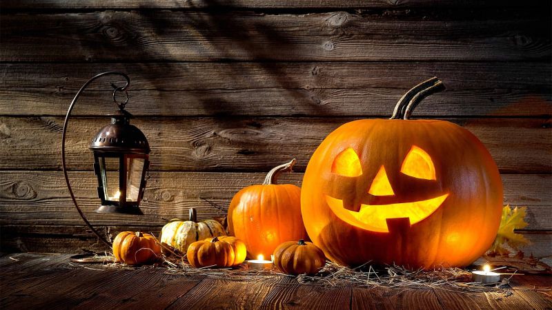 Bài luận về Lễ hội hoá trang (31 tháng Mười) - Halloween (October 31st)