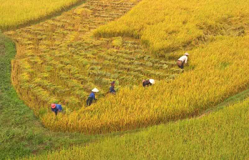 Bài tham khảo số 2