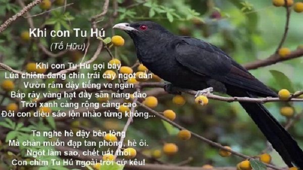 Bài tham khảo số 3