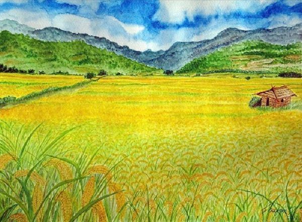 Bài tham khảo số 4