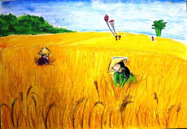 Bài tham khảo số 7