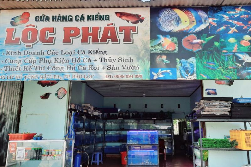 Cá cảnh Lộc Phát