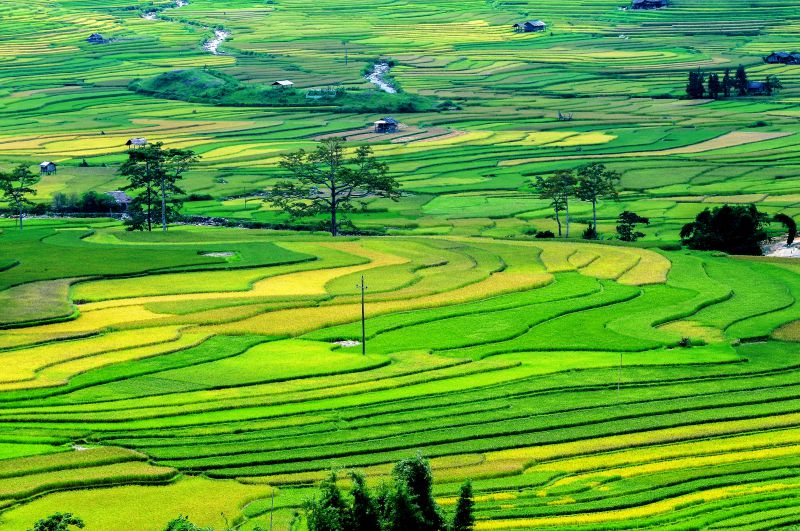 Bài văn so sánh thiên nhiên hiện lên trong Tây Tiến và Việt Bắc số 1