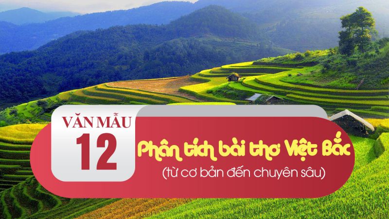 Bài văn so sánh thiên nhiên hiện lên trong Tây Tiến và Việt Bắc số 6