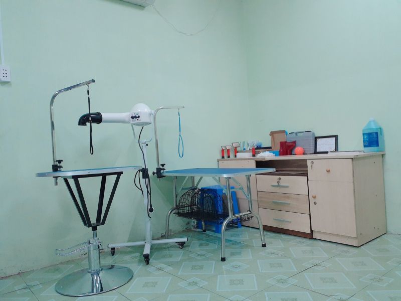 Phòng Khám Thú Y Bến Tre Phòng Khám Thú Y Bến Tre