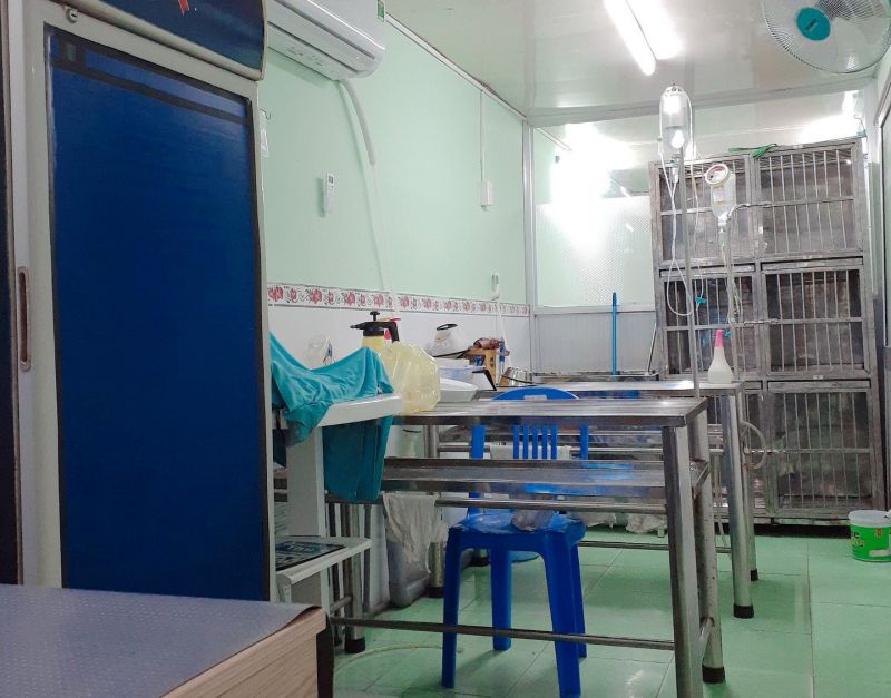 Phòng Khám Thú Y Bến Tre Phòng Khám Thú Y Bến Tre