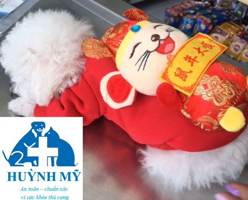 Phòng Khám Thú Y Huỳnh Mỹ