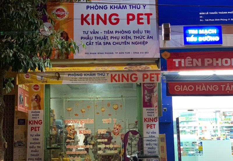 Phòng Khám Thú Y King Pet Phòng Khám Thú Y King Pet