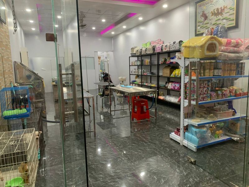 Phòng Khám Thú Y Pet Care Bến Tre Phòng Khám Thú Y Pet Care Bến Tre