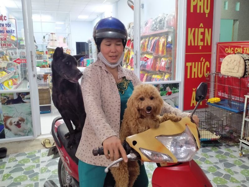 Phòng khám thú y BS Đang Phòng khám thú y BS Đang