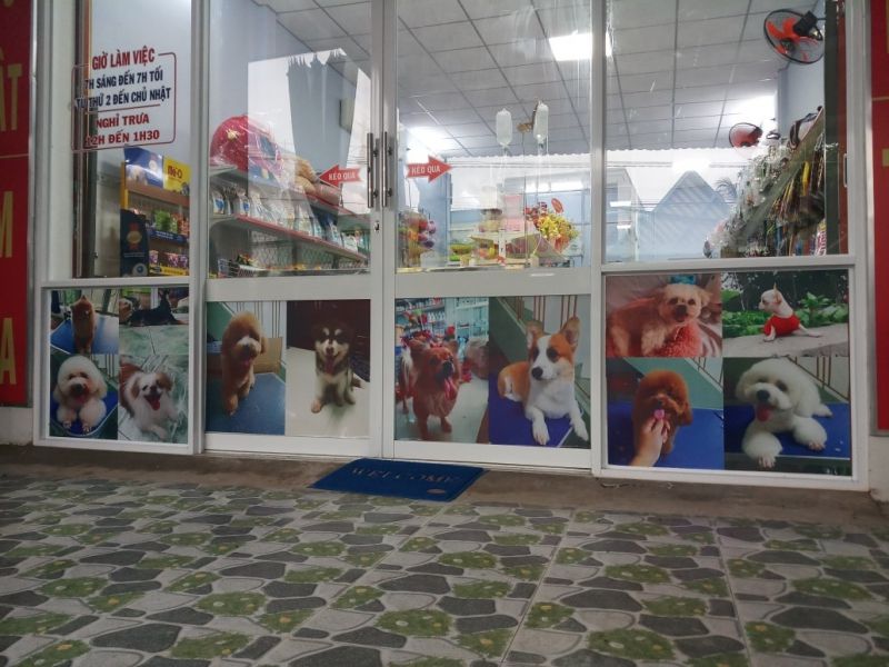 Phòng khám thú y BS Đang Phòng khám thú y BS Đang