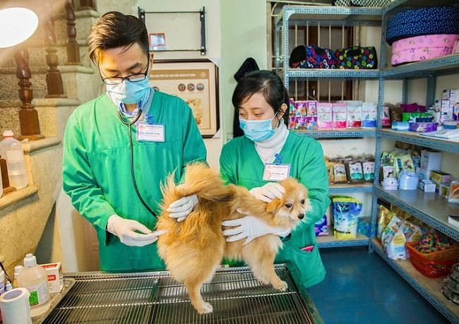 Phòng Khám Thú Y Mỹ Nhiên