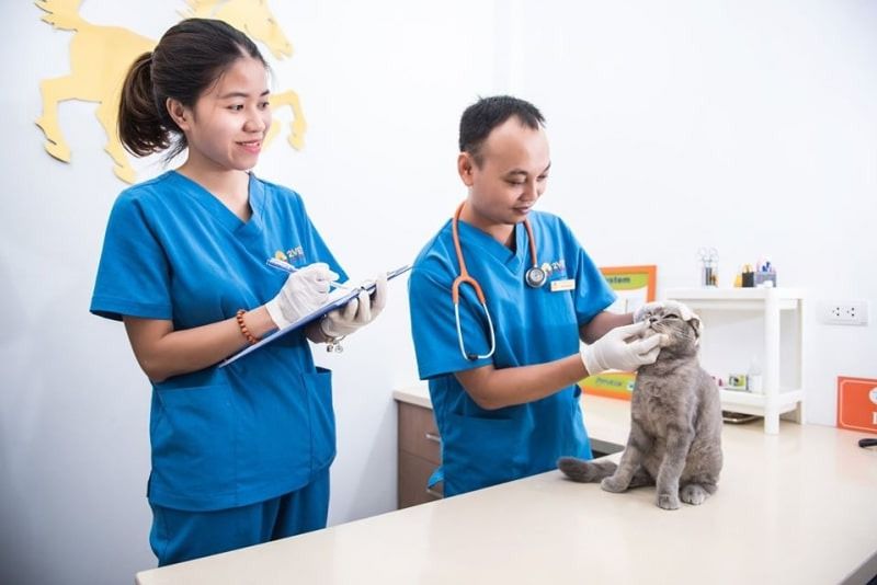 Phòng Khám Thú Y Pet’ Hop Phòng Khám Thú Y Pet’ Hop