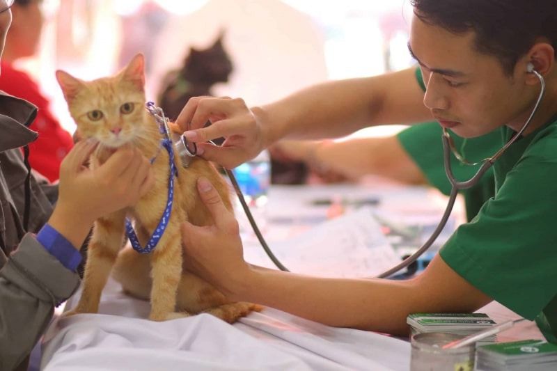 Phòng Khám Thú Y Pet’ Hop Phòng Khám Thú Y Pet’ Hop