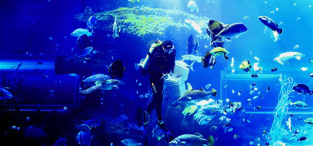 Viện Hải Dương học Nha Trang