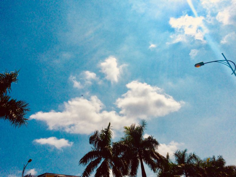 SÀI GÒN NGÀY MỚI