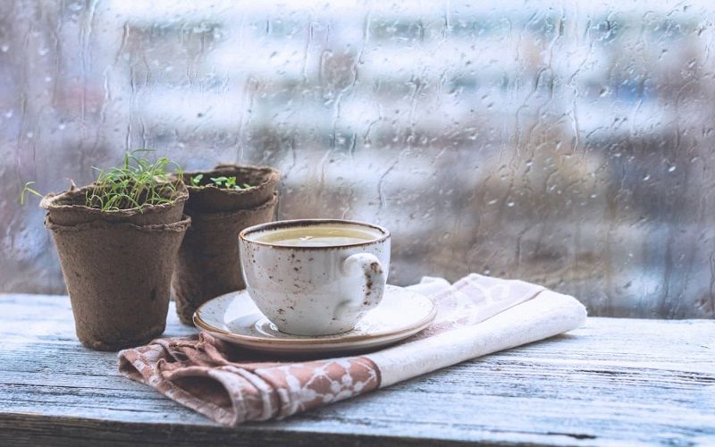 SÀI GÒN NHỮNG CHIỀU MƯA