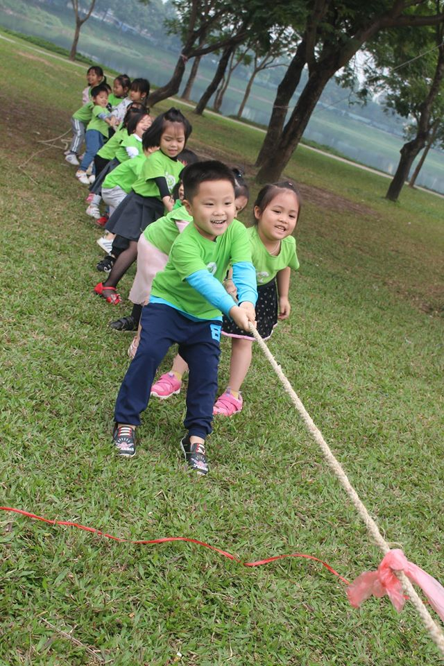 Trường Mầm Non IQ