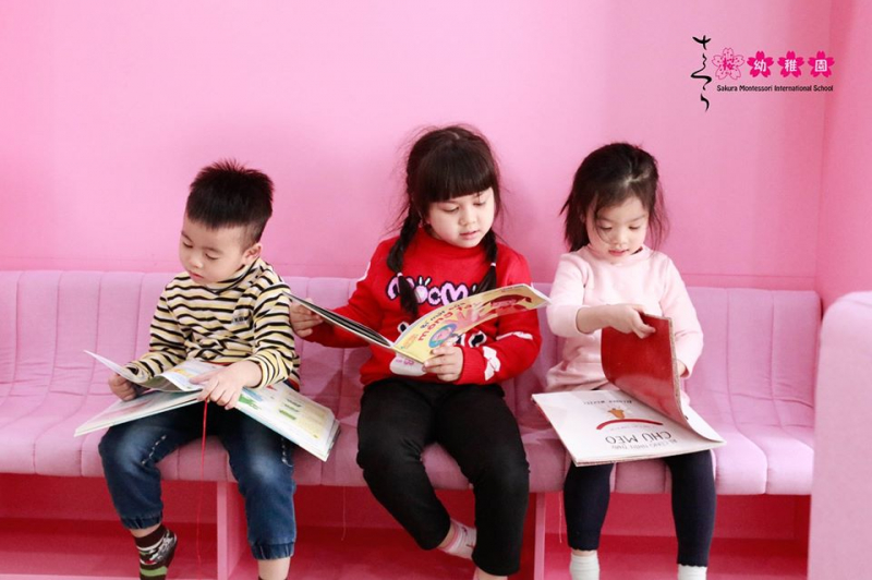 Trường Mầm non Quốc tế Sakura Montessori - Hà Đông