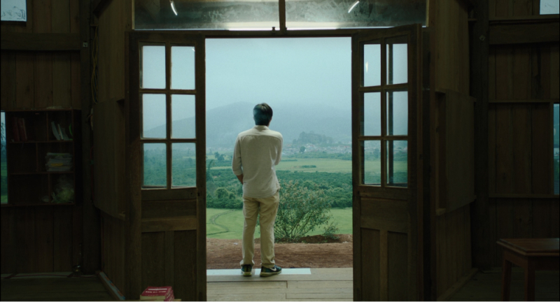 Bên Trong Vỏ Kén Vàng