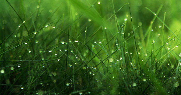 Mưa qua miền kí ức Mưa qua miền kí ức