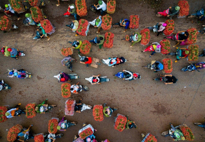 Bài văn cảm nhận về đất nước và con người VN hay nhất số 2 Bài văn cảm nhận về đất nước và con người VN hay nhất số 2