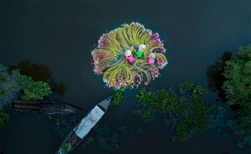 Bài văn cảm nhận về đất nước và con người VN hay nhất số 3 Bài văn cảm nhận về đất nước và con người VN hay nhất số 3