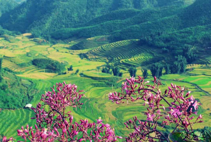 Bài tham khảo số 5