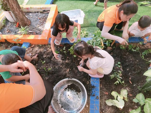 Trường  mầm non song ngữ First Steps