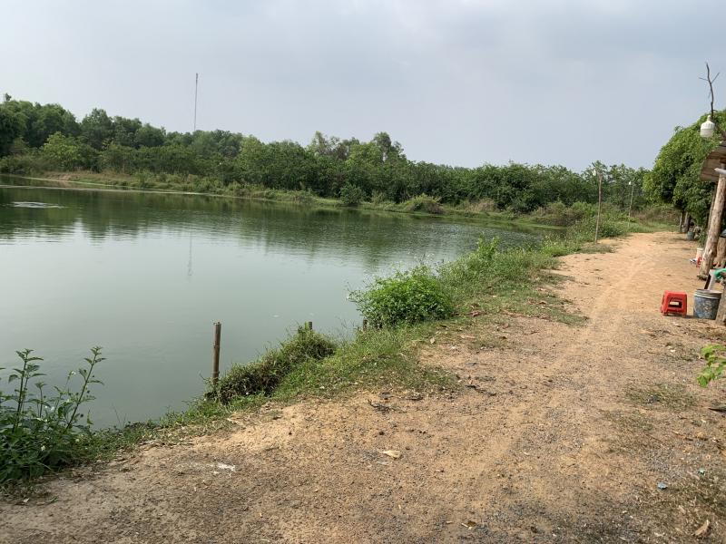 Câu cá giải trí Thiên Hương Câu cá giải trí Thiên Hương