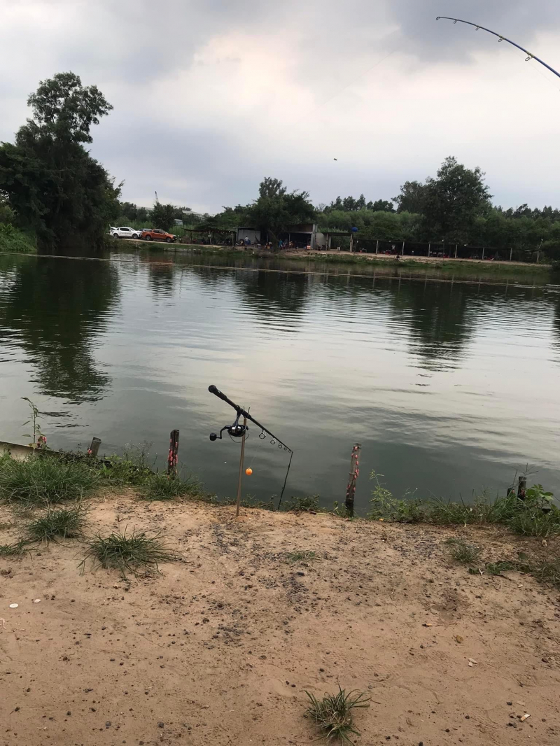 Câu cá giải trí Thiên Hương Câu cá giải trí Thiên Hương