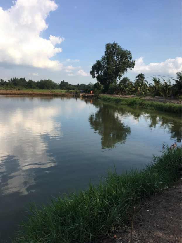 Hồ Câu Cá Giải Trí A Hiếu Hồ Câu Cá Giải Trí A Hiếu