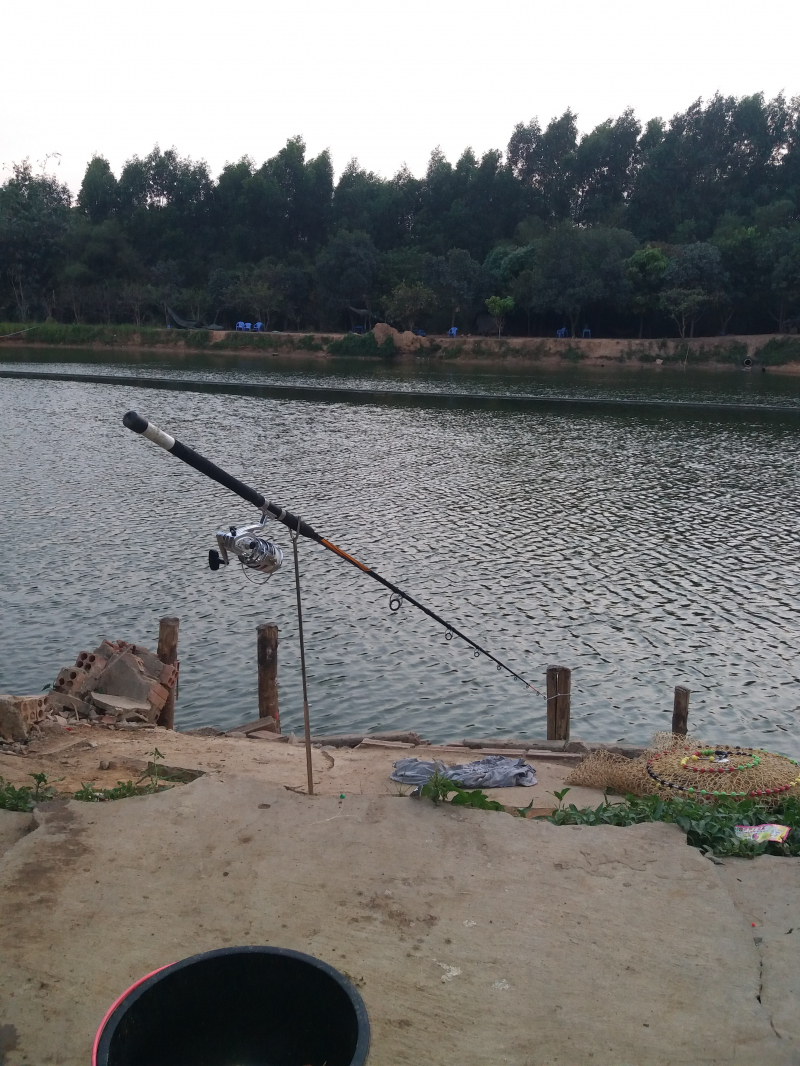 Hồ Câu Cá Giải Trí Tân Cảng Hồ Câu Cá Giải Trí Tân Cảng