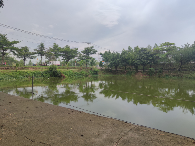 Hồ Câu Cá Giải Trí Tân Cảng Hồ Câu Cá Giải Trí Tân Cảng