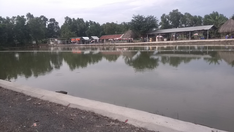 Hồ Câu Cá Giải Trí Thanh Bình 2 Hồ Câu Cá Giải Trí Thanh Bình 2