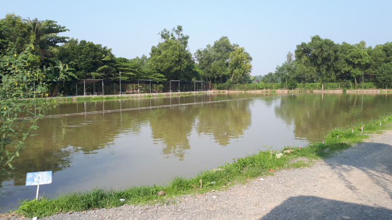 Hồ Câu Cá Giải Trí Thanh Bình 2 Hồ Câu Cá Giải Trí Thanh Bình 2