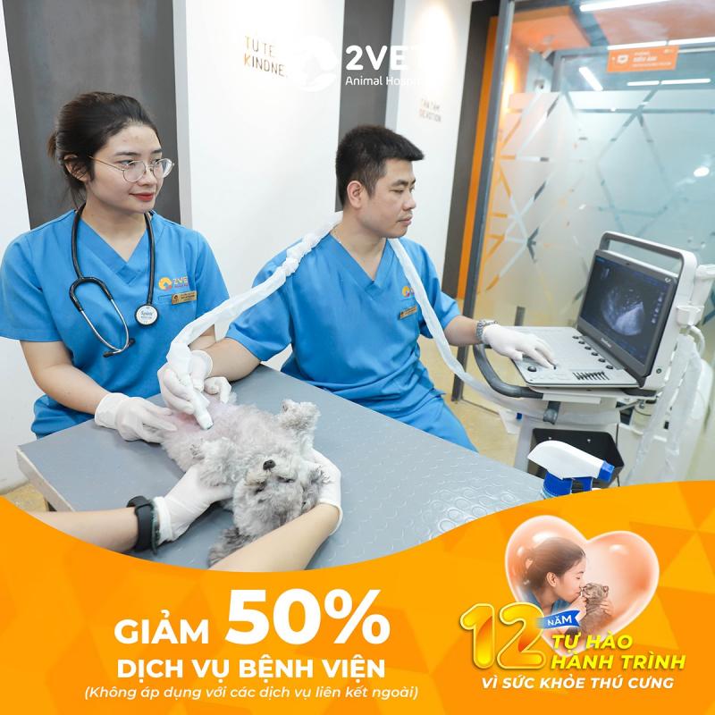 Bệnh viện thú y 2Vet Hàm Nghi