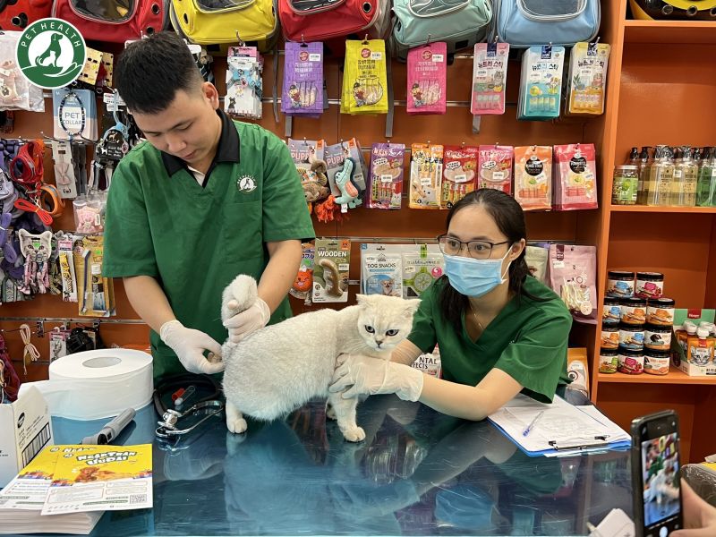 Bệnh viện thú y PetHealth Mỹ Đình