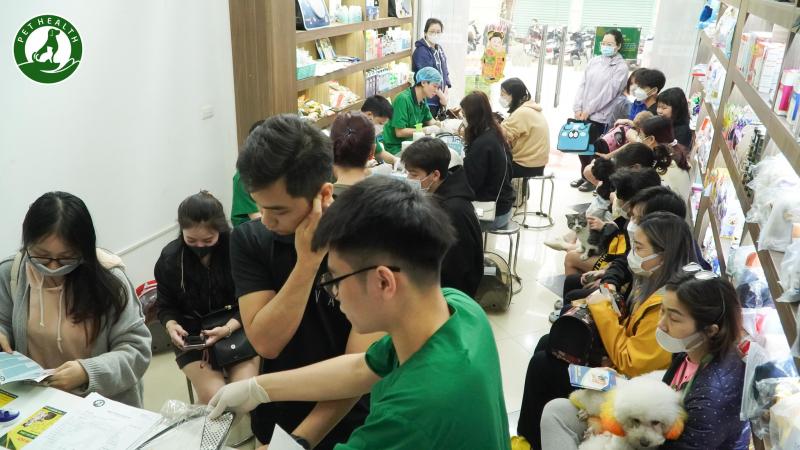 Bệnh viện thú y PetHealth Mỹ Đình