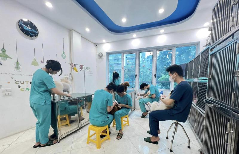 Phòng Khám Thú y SAKURA